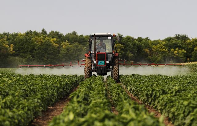 Поля в окрестностях сербского Сомбора